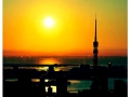 Tokyo Sunrise