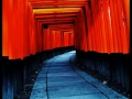 Torii Kyoto Fushimi Inari Shrine