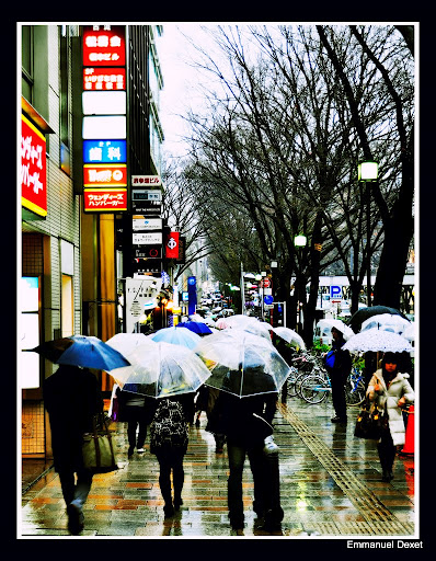 Tokyo Harajuku