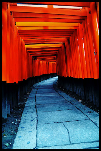Torii Kyoto Fushimi Inari Shrine